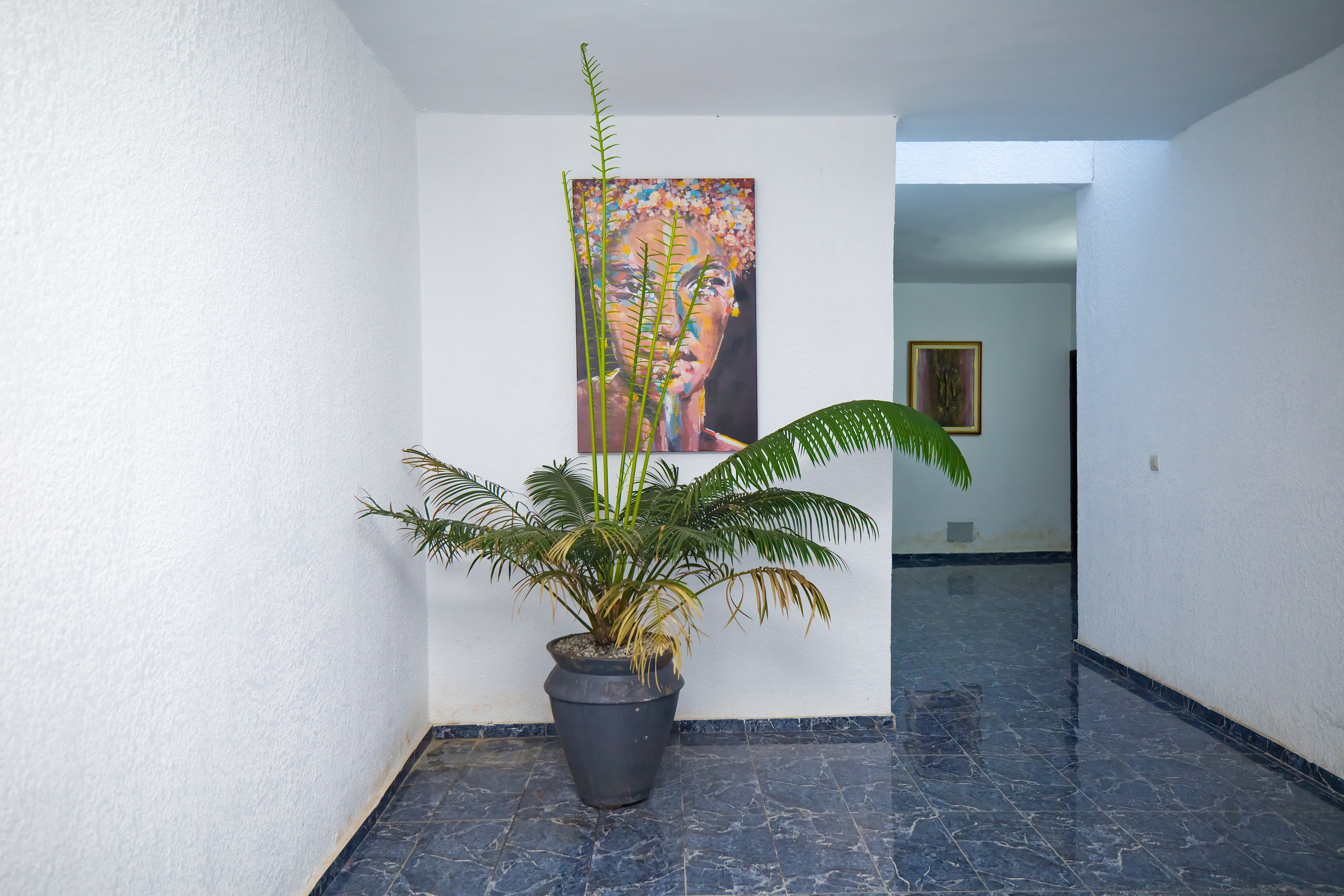 Nefertiti palace – VIP